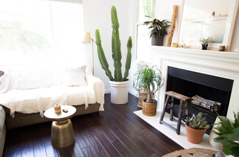 white walls desert decor large cactus west elm brass side table 