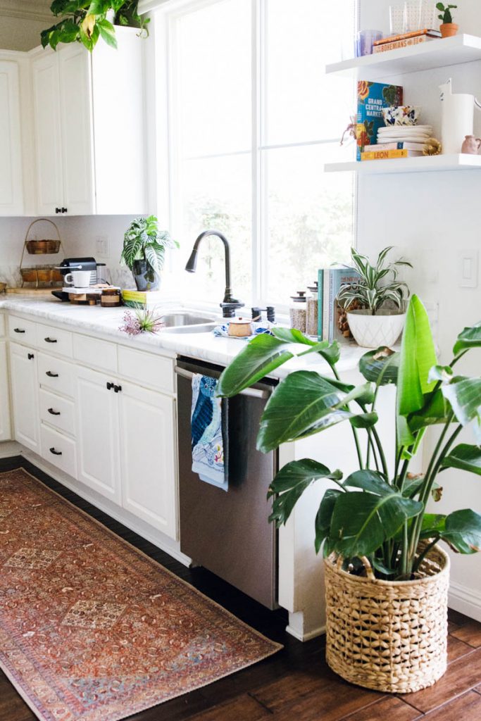 plants white kitchen open shelving loren loloi rug