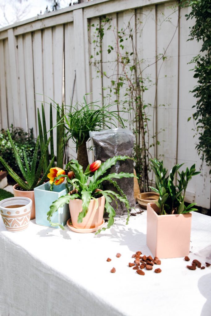 the sill planters