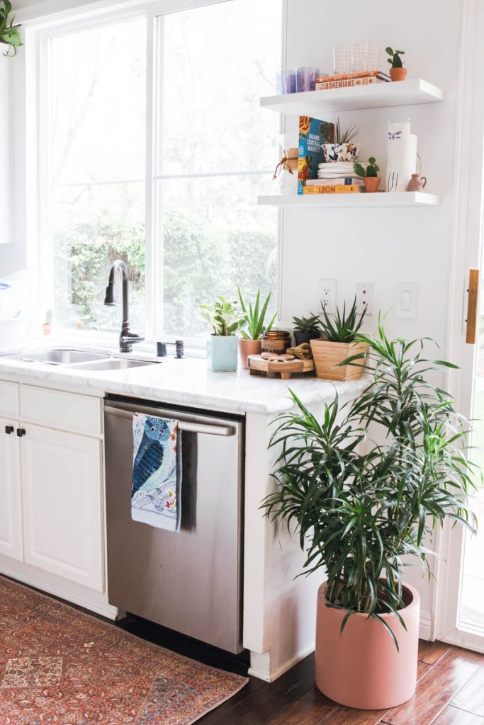 white shelves kitchen counter tops vintage rug plants the sill 