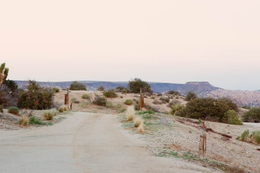 anita yokota photography joshua tree the harriet house joshua tree airbnb 