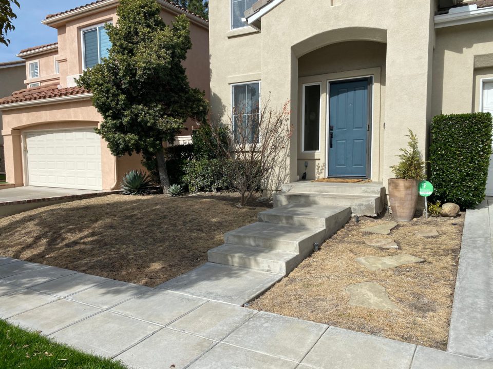 A "Before" photo of our clients dead grass. The house and yard are all a yellow-brown