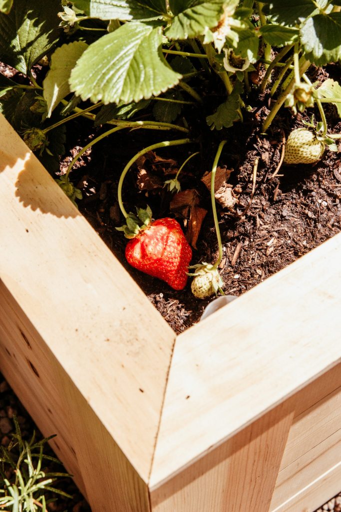 Anita Yokota method DIY secret garden containers victory garden 