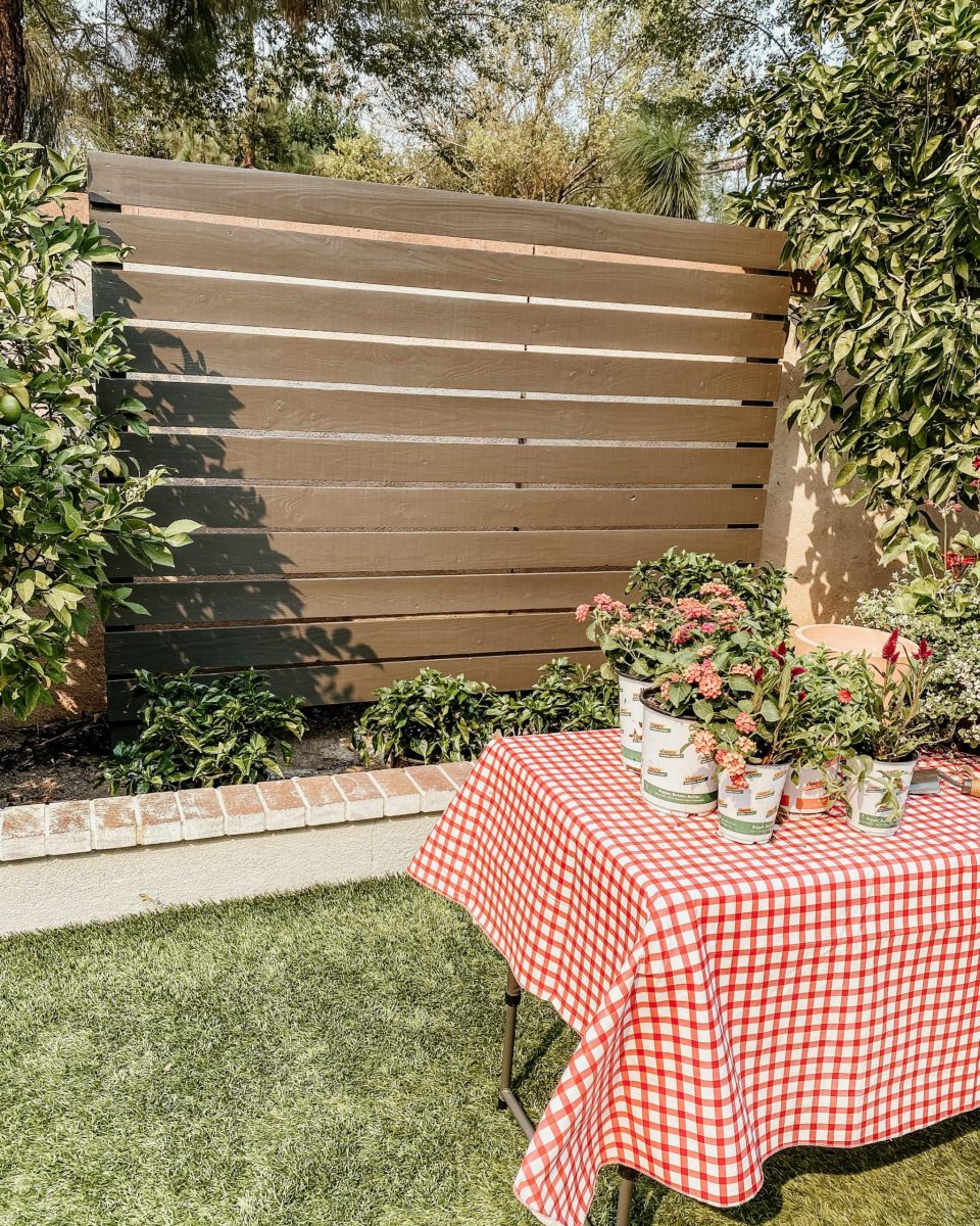The painted midcentury modern fence, with plants on a table in front with a gingham tablecloth
