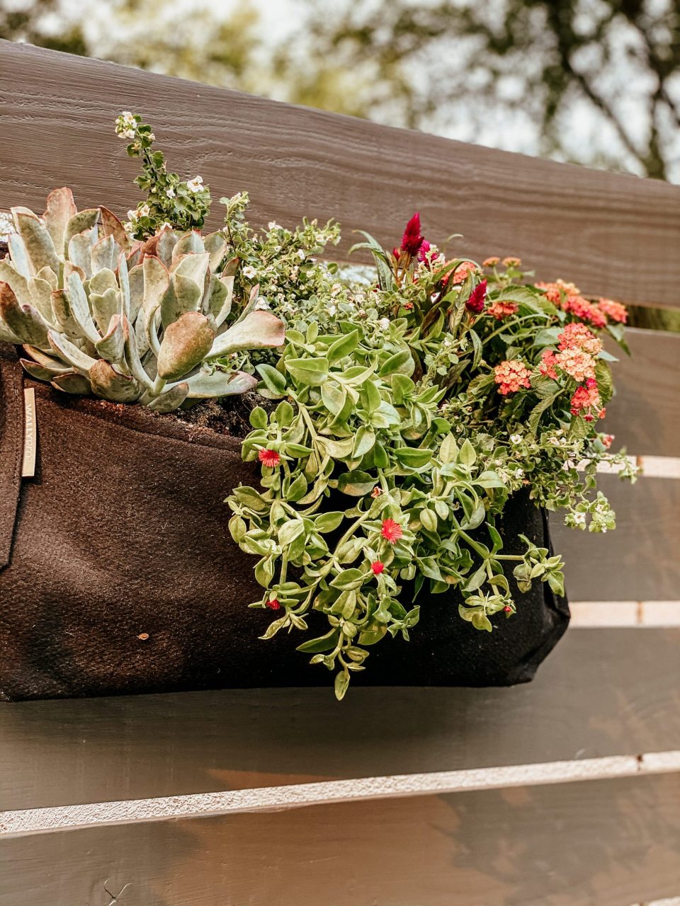 hanging planter box filled with succulents attached to the Midcentury Modern Fence