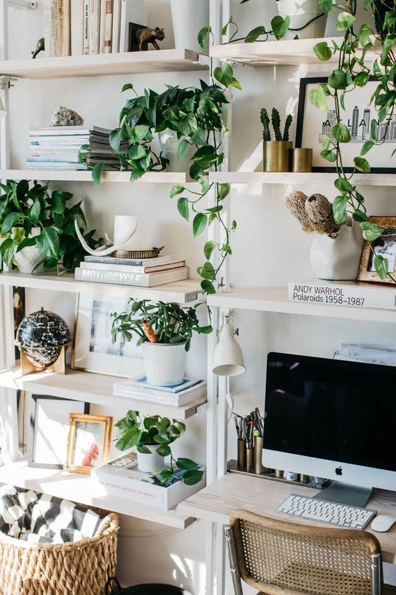 pothos plants office wfh desk 