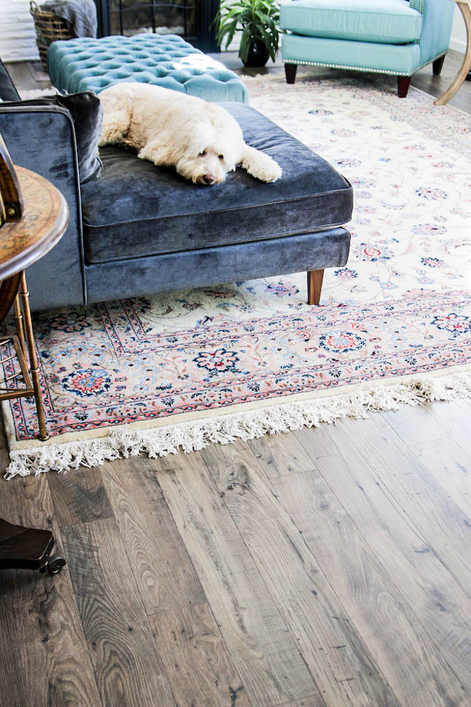 The Ultimate guide to Laminate Flooring // mohawk laminate flooring doodle puppy inspired room vintage rug velvet blue couch