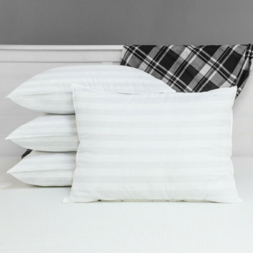 Ebay Gift: Pillows