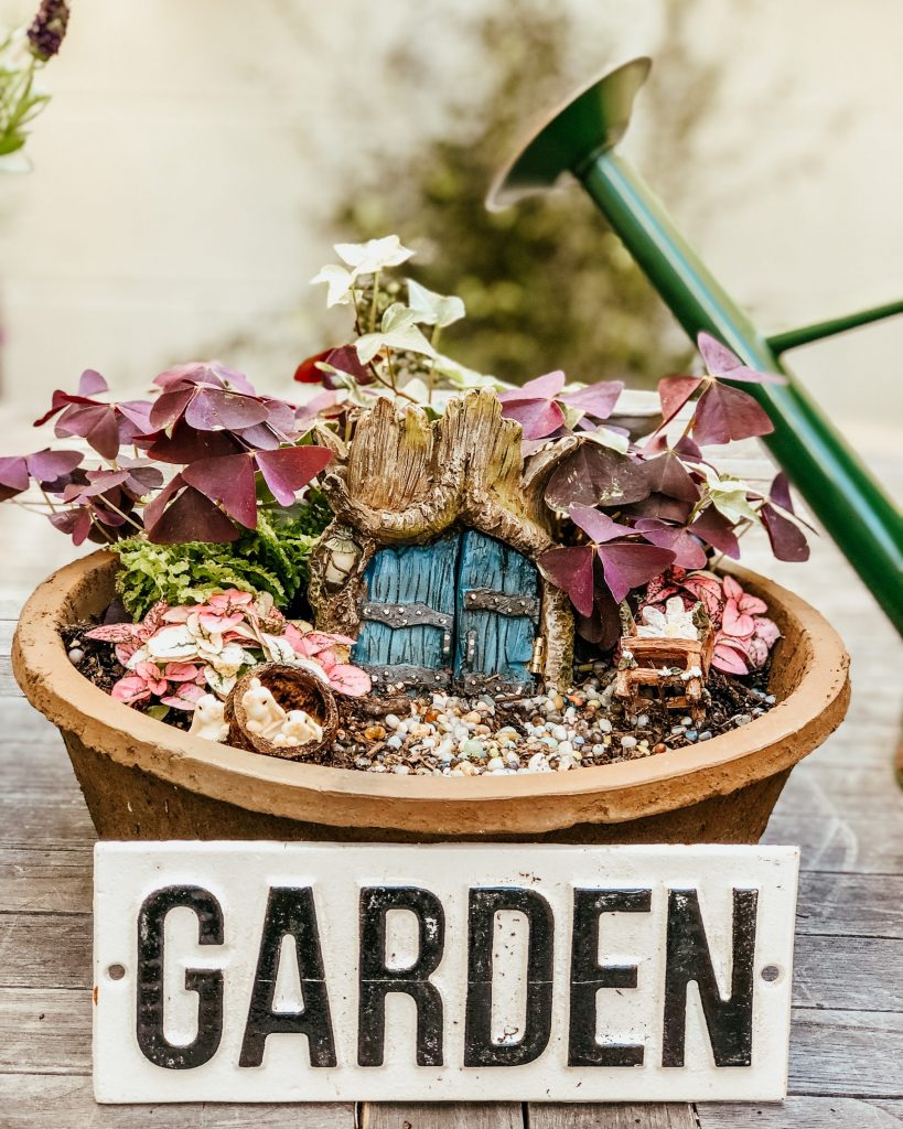 fairy garden 