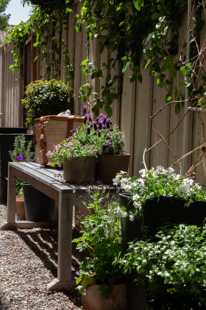 secret garden side yard DIY bench 