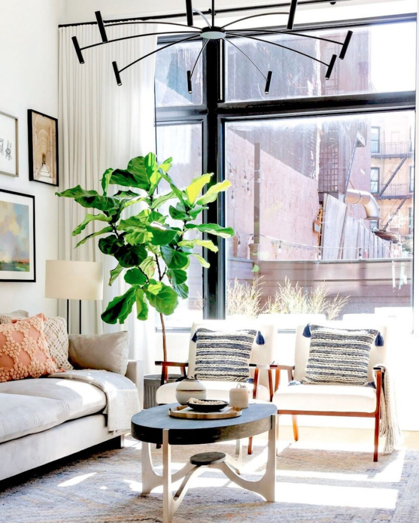 Real Simple Design House Brooklyn with fiddleleaf fig and midcentury chairs